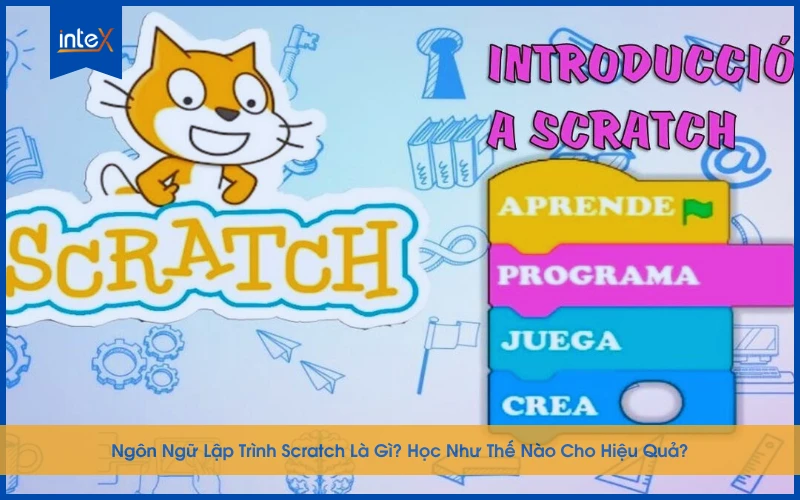Giao diện ngôn ngữ lập trình Scratch với các khối lệnh trực quan giúp trẻ dễ dàng học lập trình từ sớm.