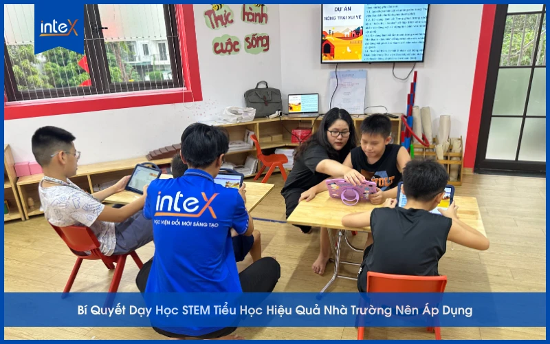 Bí quyết dạy học STEM tiểu học giúp giáo viên tổ chức hoạt động sáng tạo và hiệu quả