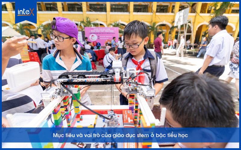 Mục tiêu và vai trò của giáo dục STEM đối với cấp tiểu học