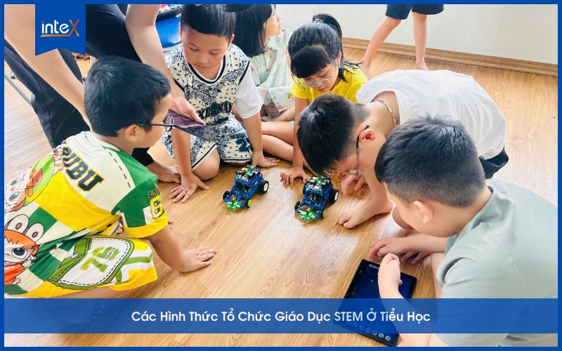 Các Hình Thức Tổ Chức Giáo Dục STEM Ở Tiểu Học
