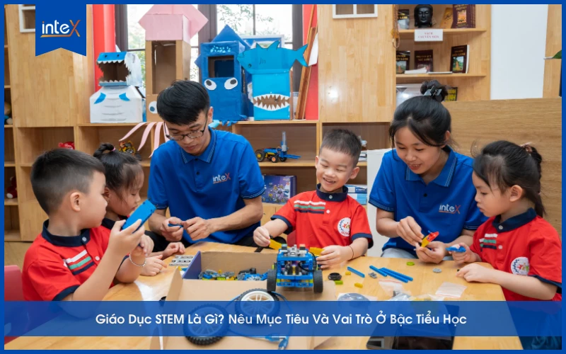 Giáo dục STEM là gì