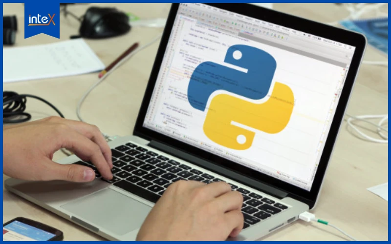 Học sinh cấp 2 bắt đầu làm quen với lập trình Python