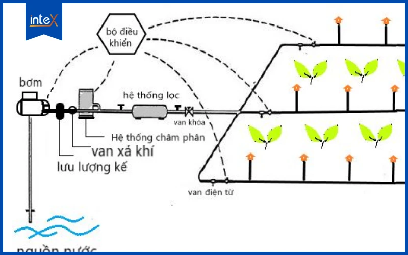 Hệ thống tưới cây tự động