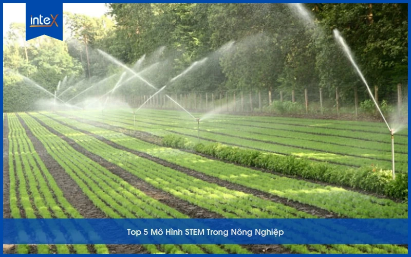 Mô Hình STEM Trong Nông Nghiệp