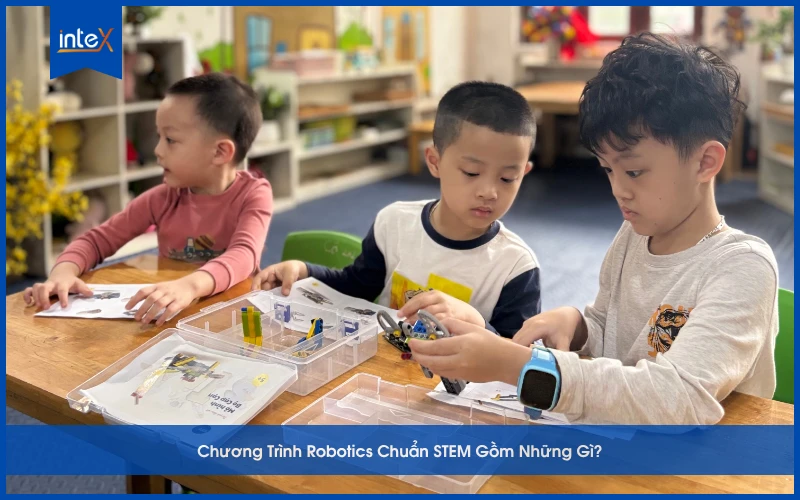 Chương Trình Gồm Những Gì