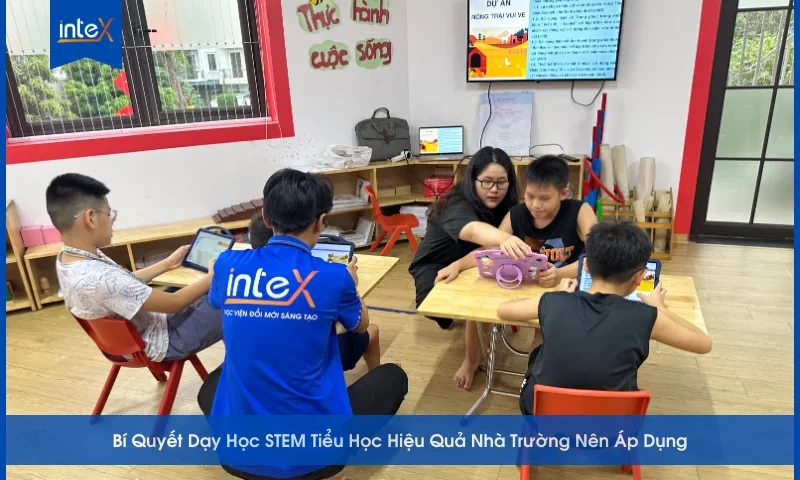 Bí quyết dạy học STEM tiểu học giúp giáo viên tổ chức hoạt động sáng tạo và hiệu quả
