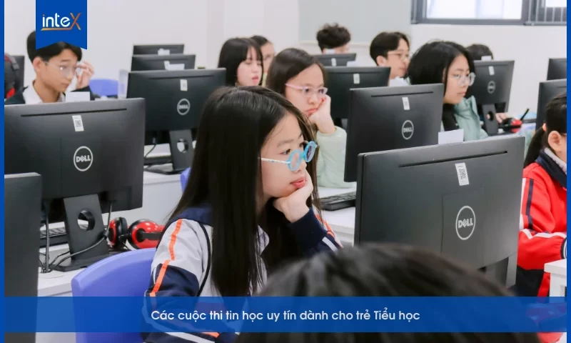 Các cuộc thi tin học uy tín dành cho trẻ Tiểu học