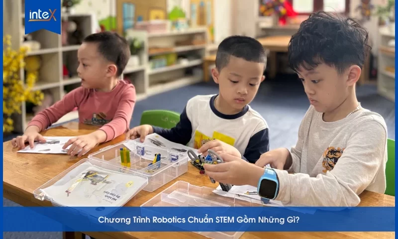 Chương Trình Gồm Những Gì