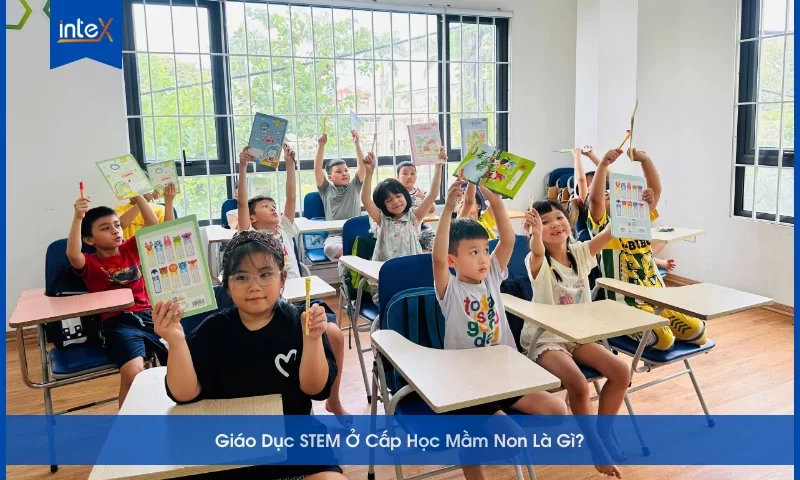 Giáo Dục STEM Ở Cấp Học Mầm Non Là Gì
