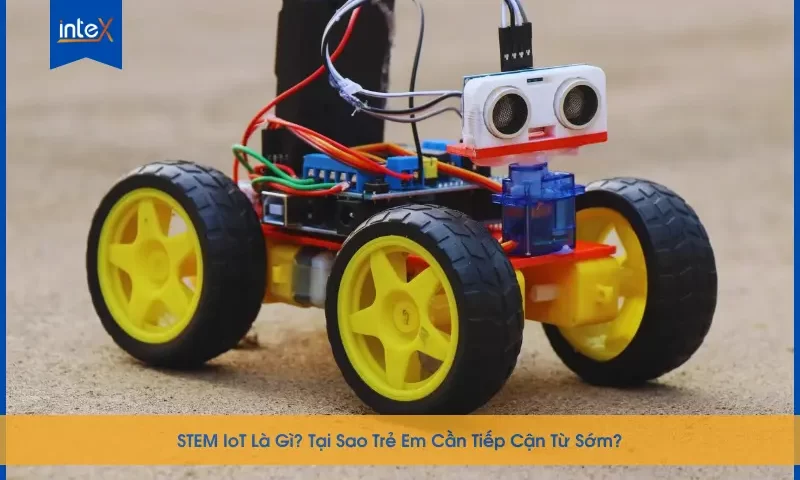 STEM IoT Là Gì? Tại Sao Trẻ Em Cần Tiếp Cận Từ Sớm?