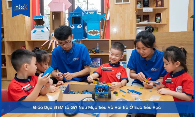Giáo dục STEM là gì