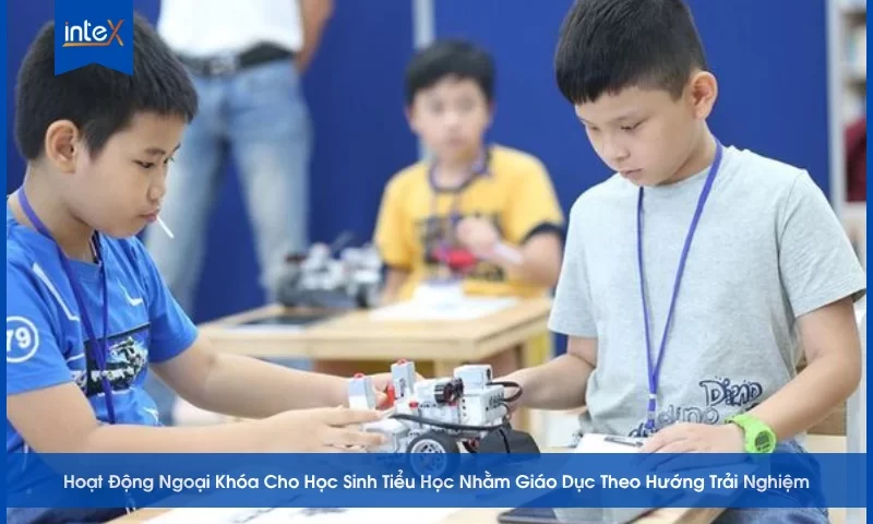 Hoạt Động Ngoại Khóa Cho Học Sinh Tiểu Học Nhằm Giáo Dục Theo Hướng Trải Nghiệm