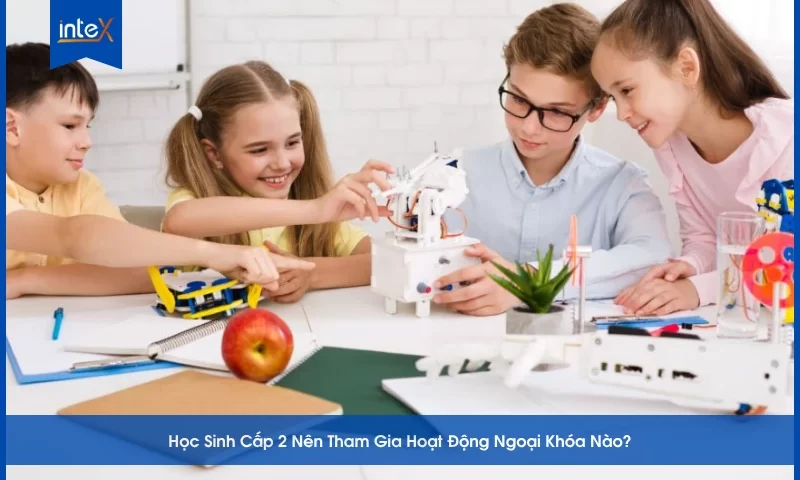Học Sinh Cấp 2 Nên Tham Gia Hoạt Động Ngoại Khóa Nào