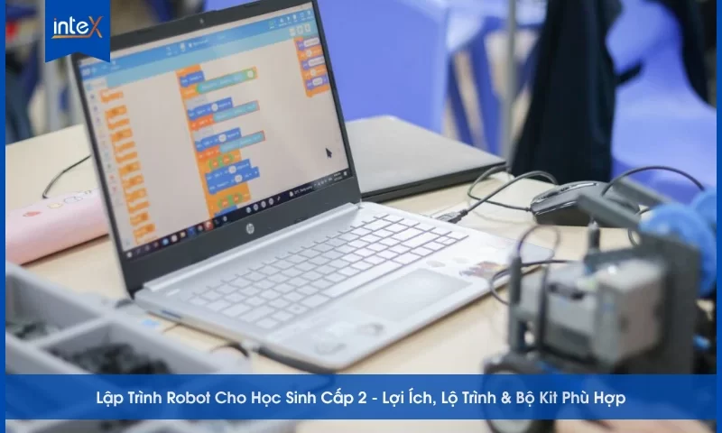 Lập Trình Robot Cho Học Sinh Cấp 2