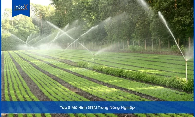 Mô Hình STEM Trong Nông Nghiệp