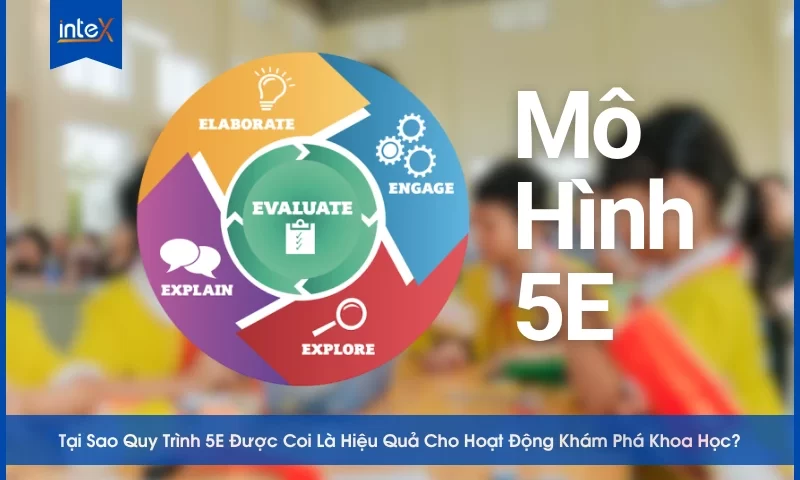 Quy Trình 5E Được Coi Là Hiệu Quả
