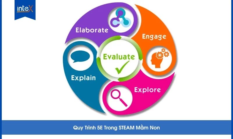Quy Trình 5E Trong STEAM Mầm Non