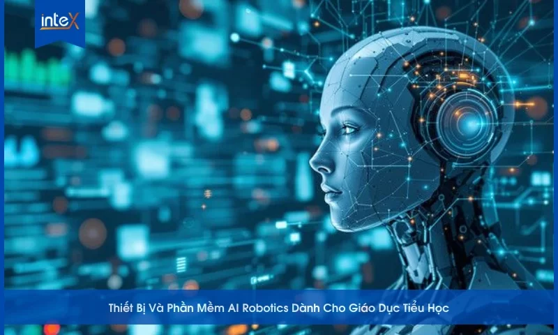 Thiết Bị Và Phần Mềm AI Robotics Dành Cho Giáo Dục Tiểu Học