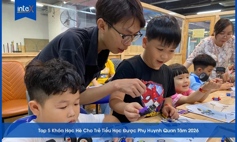 Top 5 Khóa Học Hè Cho Trẻ Tiểu Học Được Phụ Huynh Quan Tâm 2026