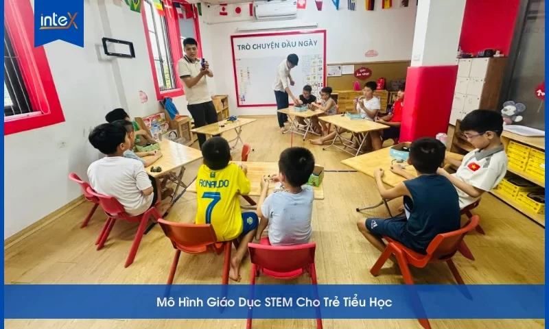 Top 4 mô hình giáo dục stem cho trẻ tiểu học