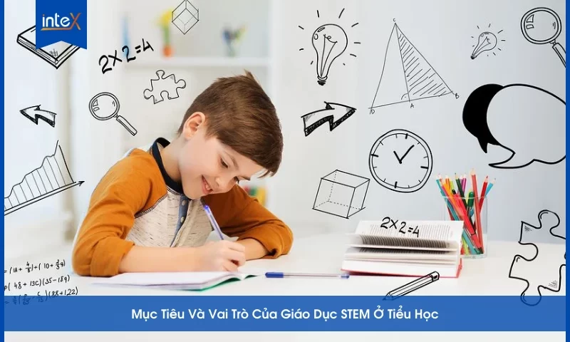 Giáo dục STEM tiểu học giúp học sinh rèn luyện tư duy sáng tạo và kỹ năng giải quyết vấn đề