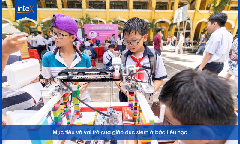 Mục tiêu và vai trò của giáo dục STEM đối với cấp tiểu học