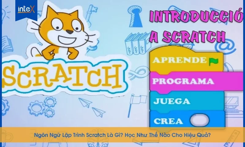 Giao diện ngôn ngữ lập trình Scratch với các khối lệnh trực quan giúp trẻ dễ dàng học lập trình từ sớm.