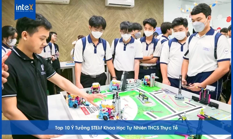Ý tưởng STEM Khoa học Tự nhiên